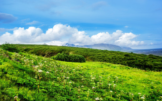 976990 (a): :2880x1800